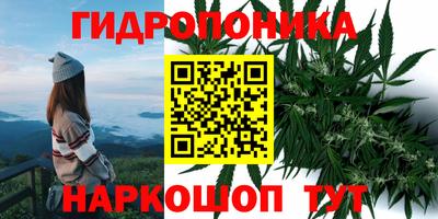 мяу мяу кристалл Гусь-Хрустальный