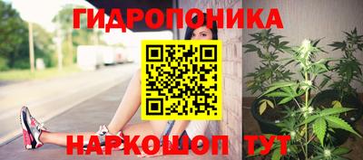 прущий лед Гусев