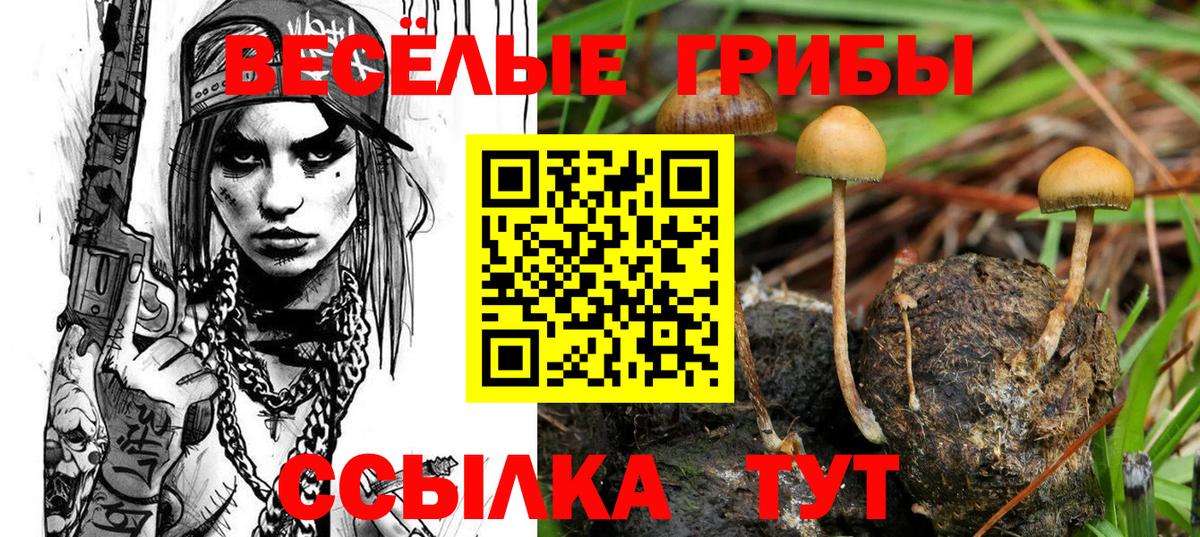 Галлюциногенные грибы мицелий Нурлат