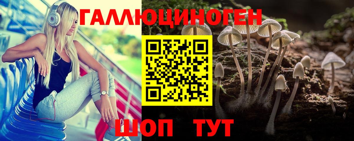 Галлюциногенные грибы прущие грибы  Вход с VPN  Нурлат 